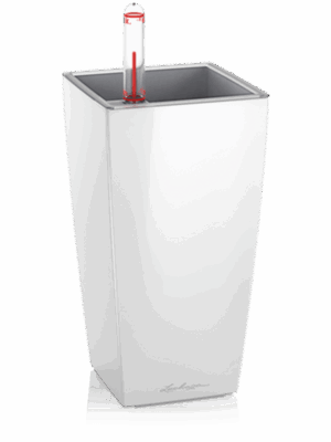 Lechuza Mini-Cubi (8/carton)