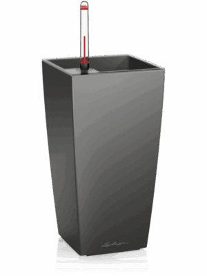 Lechuza Maxi-Cubi