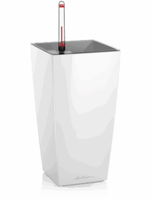 Lechuza Maxi-Cubi