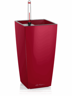 Lechuza Maxi-Cubi