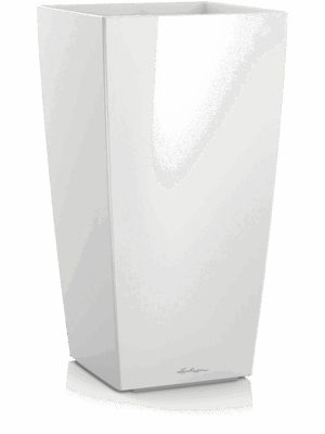 Lechuza Cubico