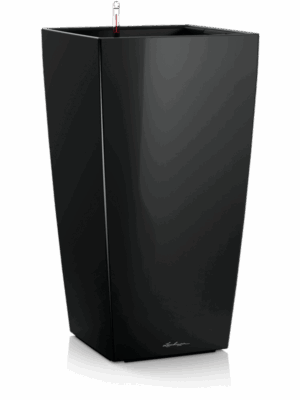 Lechuza Premium Cubico 22