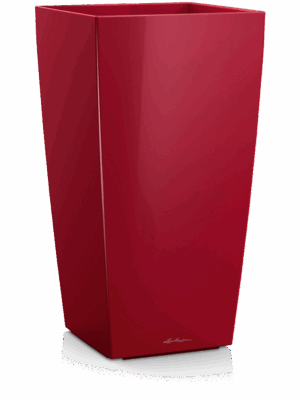 Lechuza Cubico
