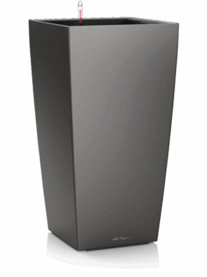 Lechuza Premium Cubico 30
