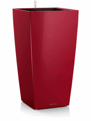Lechuza Premium Cubico 30