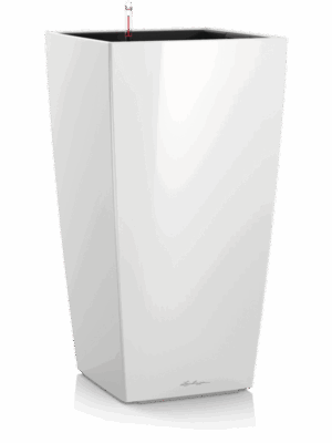Lechuza Premium Cubico 30