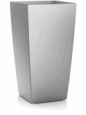 Lechuza Cubico