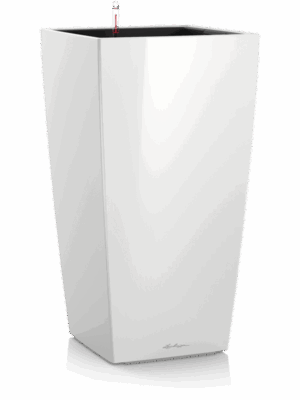 Lechuza Premium Cubico 50