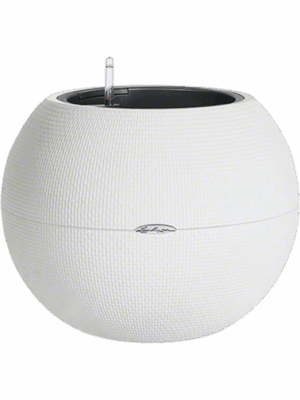 Lechuza Puro Color 50