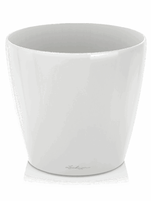 Lechuza Classico