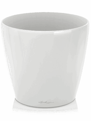 Lechuza Classico