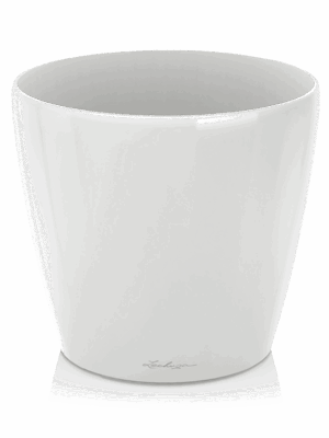 Lechuza Classico