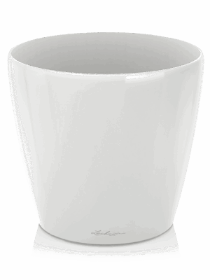 Lechuza Classico