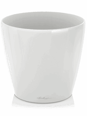 Lechuza Classico