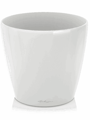 Lechuza Classico