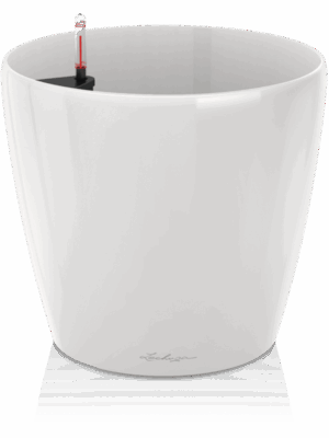 Lechuza Premium Classico 60