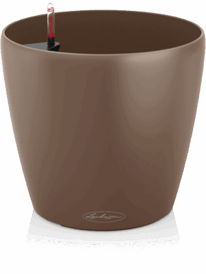 Lechuza Classico Color 18