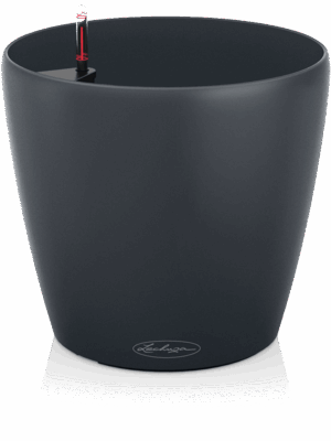 Lechuza Classico Color 18