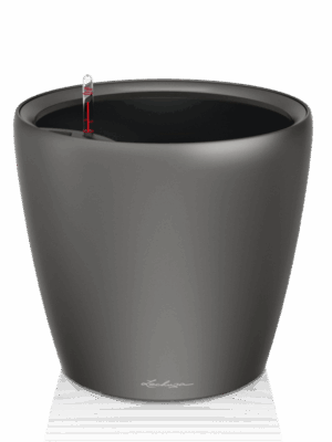 Lechuza Classico LS 21