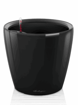 Lechuza Classico LS 21