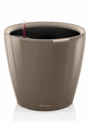 Lechuza Premium Classico LS 21