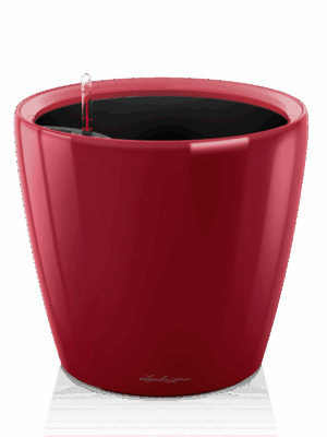 Lechuza Classico LS 21