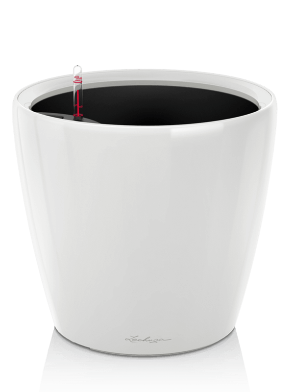 Lechuza Premium Classico LS 28