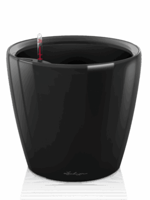 Lechuza Classico LS 35
