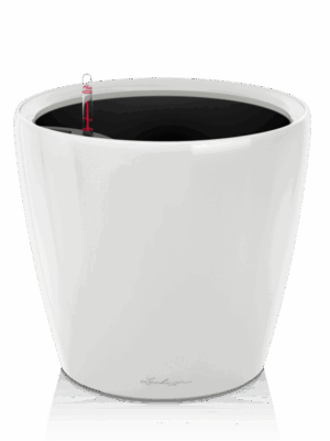 Lechuza Premium Classico LS 43