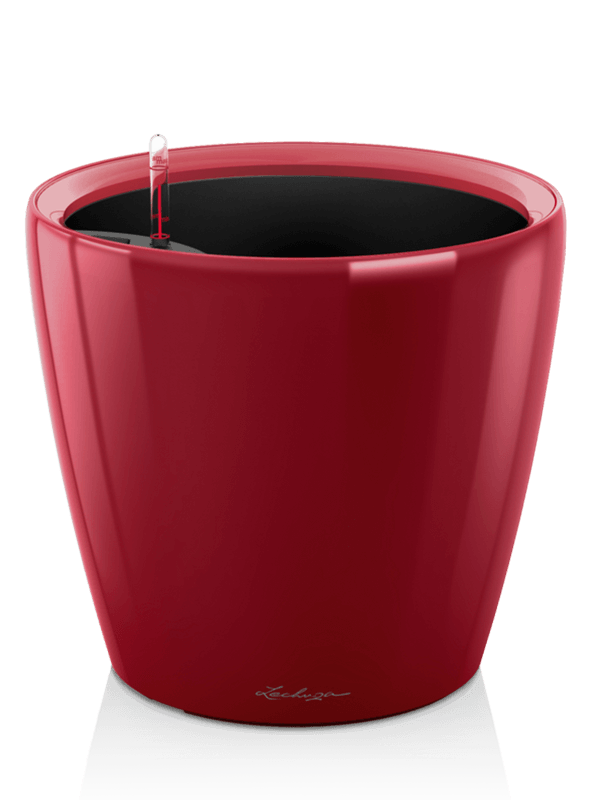 Lechuza Classico LS 43