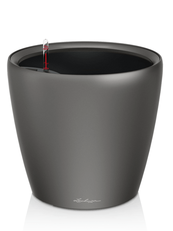 Lechuza Classico LS 50