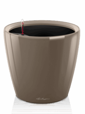 Lechuza Premium Classico LS 50