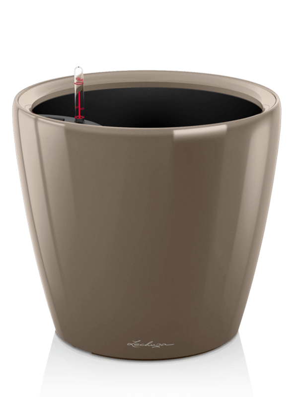 Lechuza Premium Classico LS 50