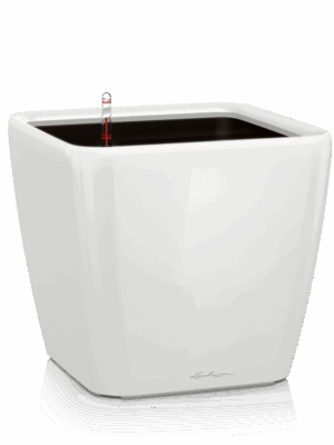 Lechuza Premium Quadro LS 21