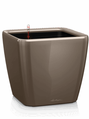 Lechuza Premium Quadro LS 21