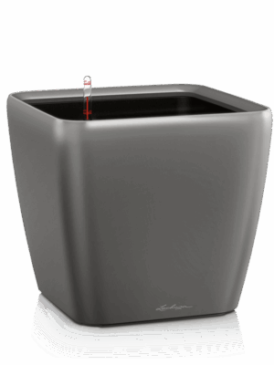Lechuza Premium Quadro LS 28