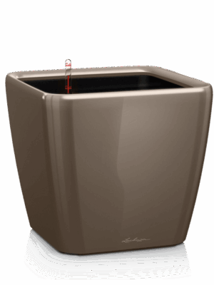Lechuza Premium Quadro LS 28