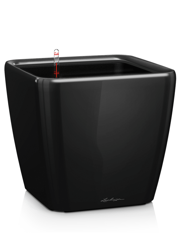 Lechuza Premium Quadro LS 43