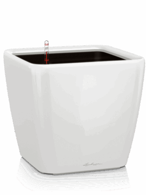 Lechuza Premium Quadro LS 50