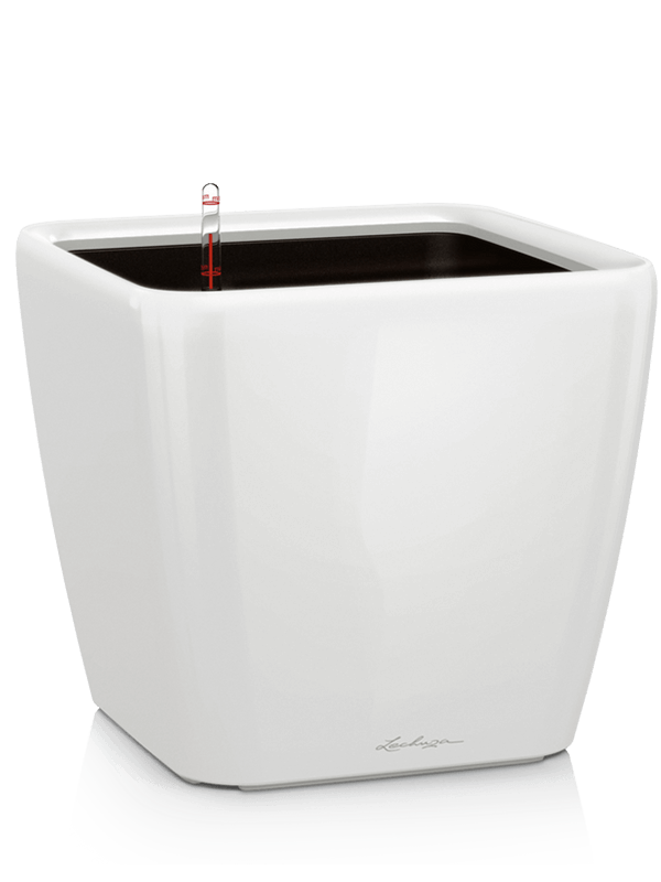 Lechuza Premium Quadro LS 50