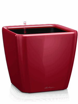 Lechuza Premium Quadro LS 50