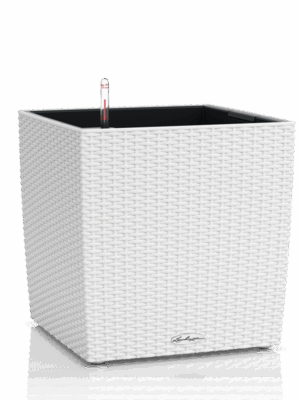 Lechuza Cube Cottage 40