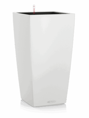 Lechuza Cubico Color 30
