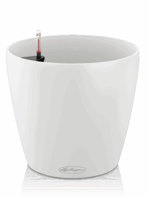 Lechuza Classico 28