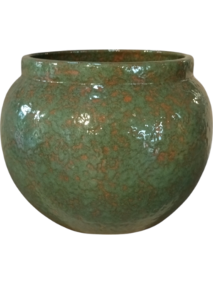 Anogo