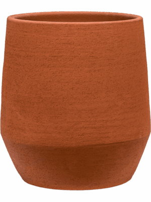 Humus
