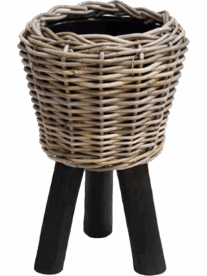 Drypot Rattan