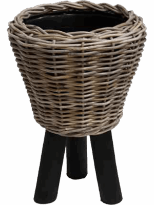 Drypot Rattan