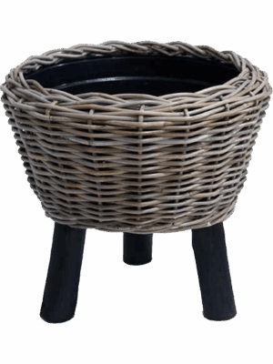 Drypot Rattan