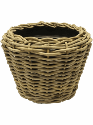 Drypot CI Rattan